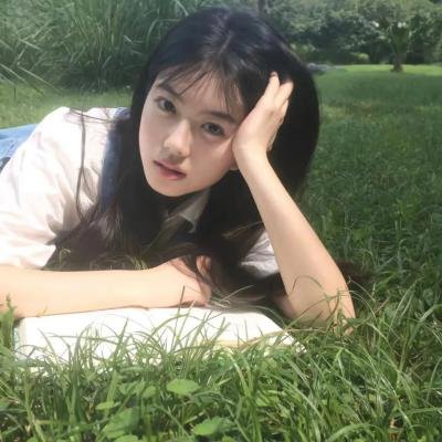 决战燕子门